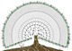 Impression de grands arbres g�n�alogiques